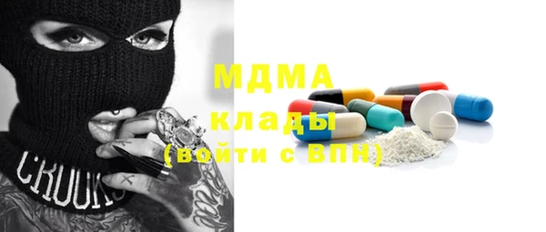 индика Козельск