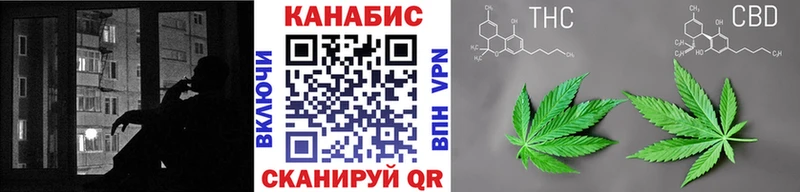 Канабис сатива  Кяхта 